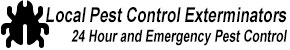 Big Bear Lake CA Pest Control Exterminators